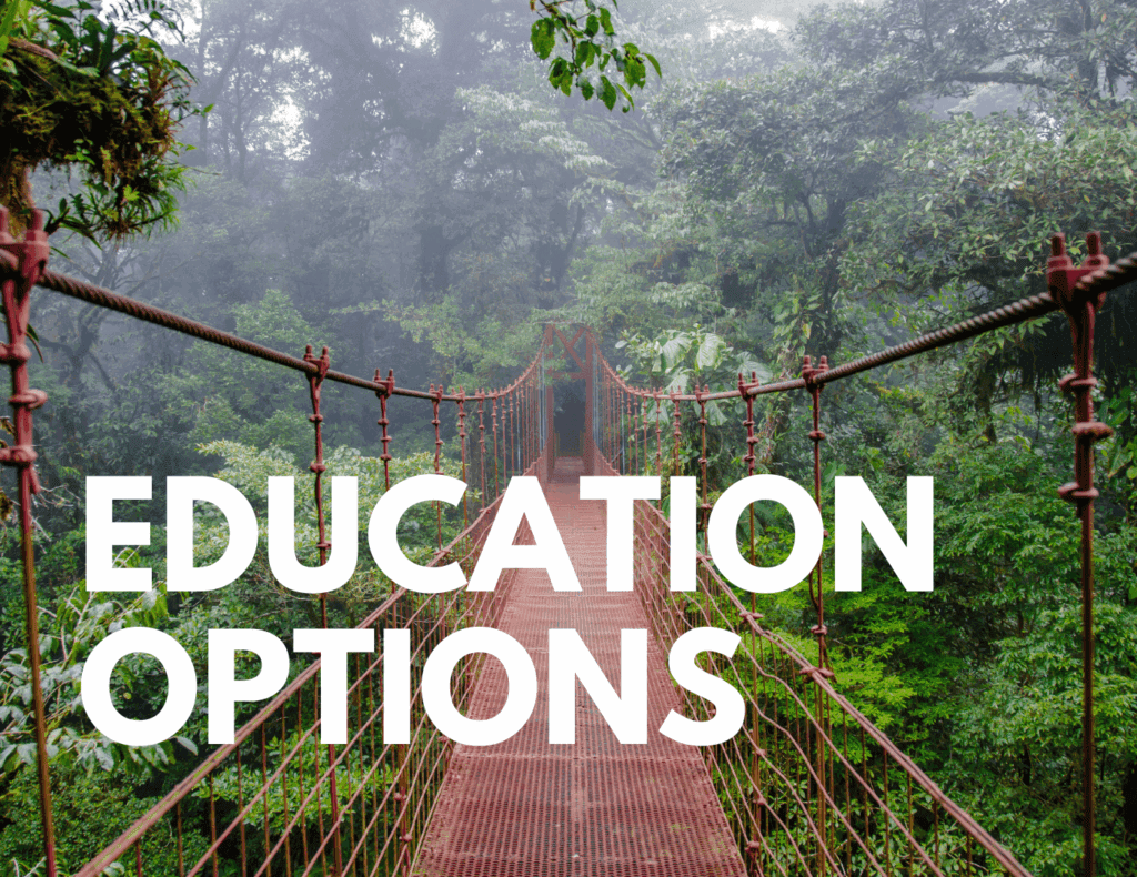 Hanging bridge in Costa Rican rainforest representing education and childcare options