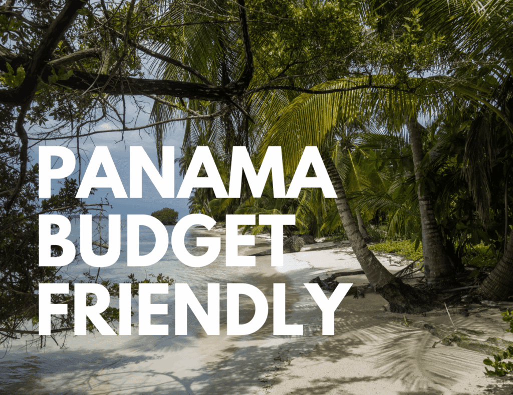 Secluded tropical beach with palm trees and gentle waves — capturing Panama’s budget-friendly nature escapes and low-cost living options.