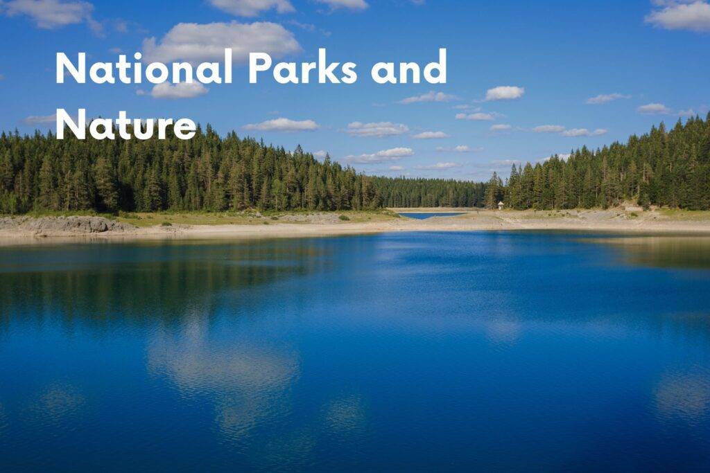 Tranquil Black Lake trail surrounded by pine forest in Durmitor National Park — one of the most stroller-friendly nature paths in Montenegro.