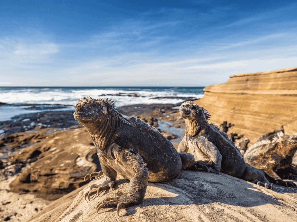 Galápagos with kids in Dec–Feb ​