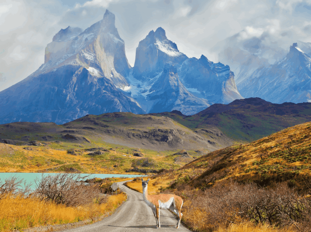 Patagonia in January/February: worth it with kids?