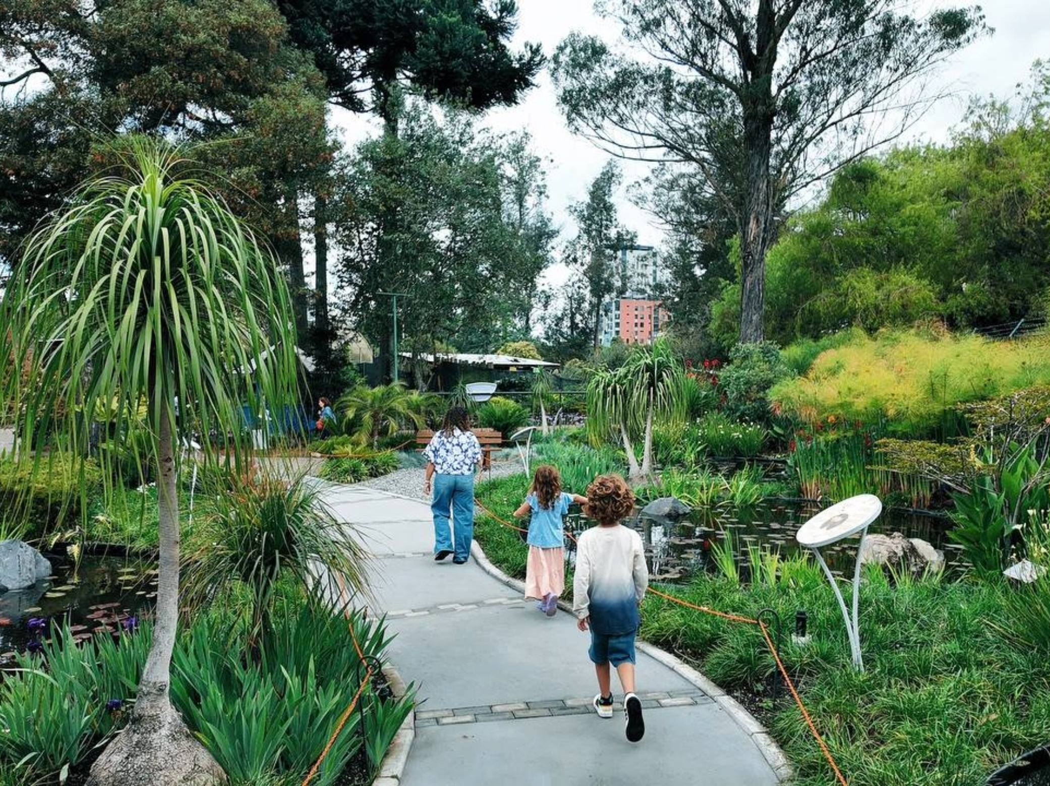 Walking around the CArolina in Quito