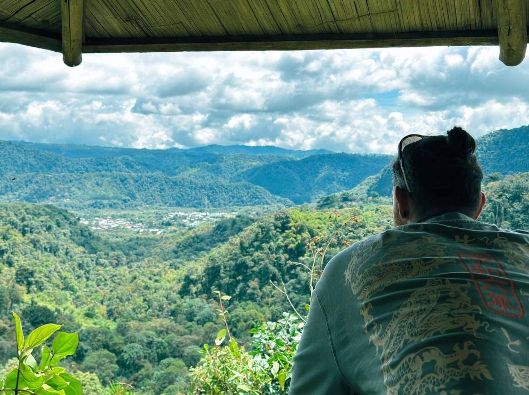 Cloud forest ecuador