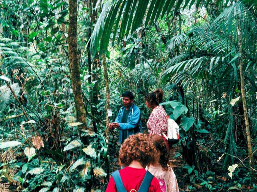 Jungle trek in Puyo
