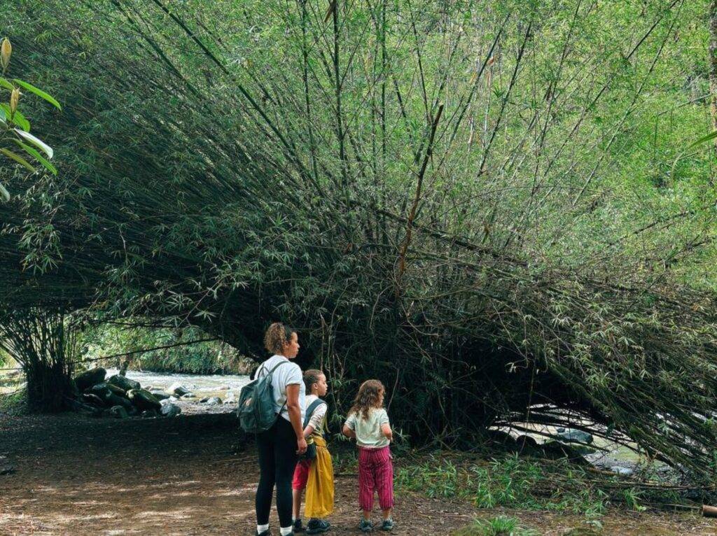 Family Travel Tips in Mindo