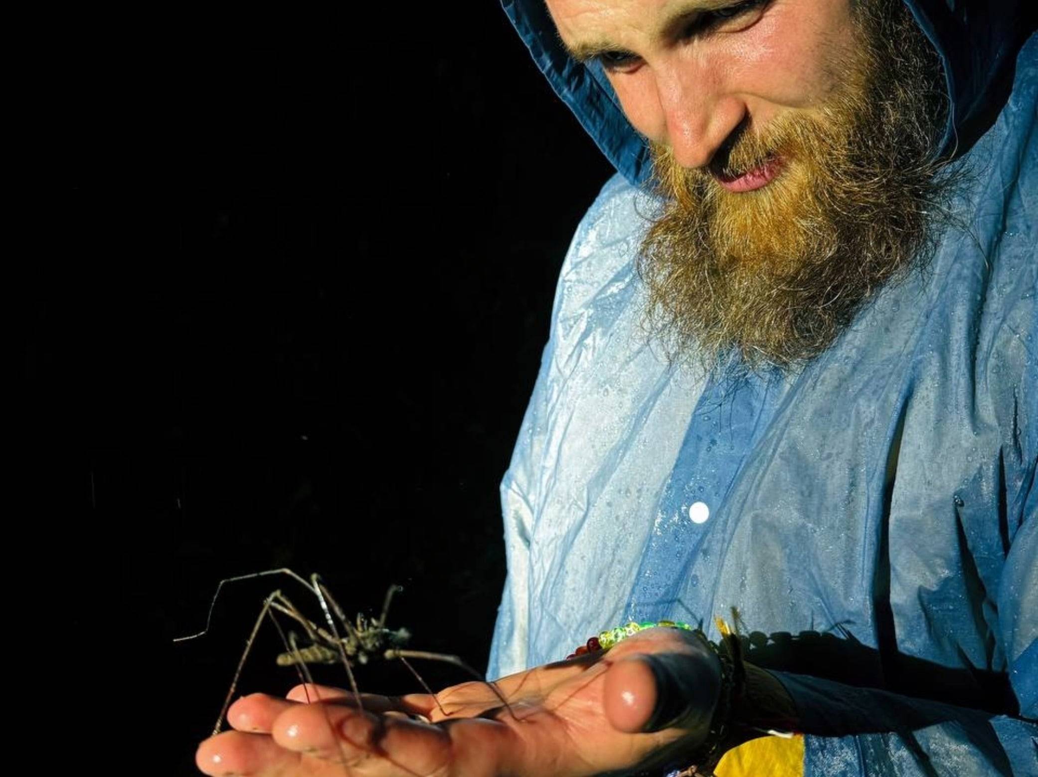 Mindo night jungle tours