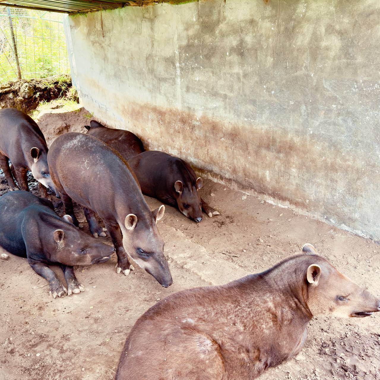 Zoológico San Martín, with a Scenic Hike to Get There​
