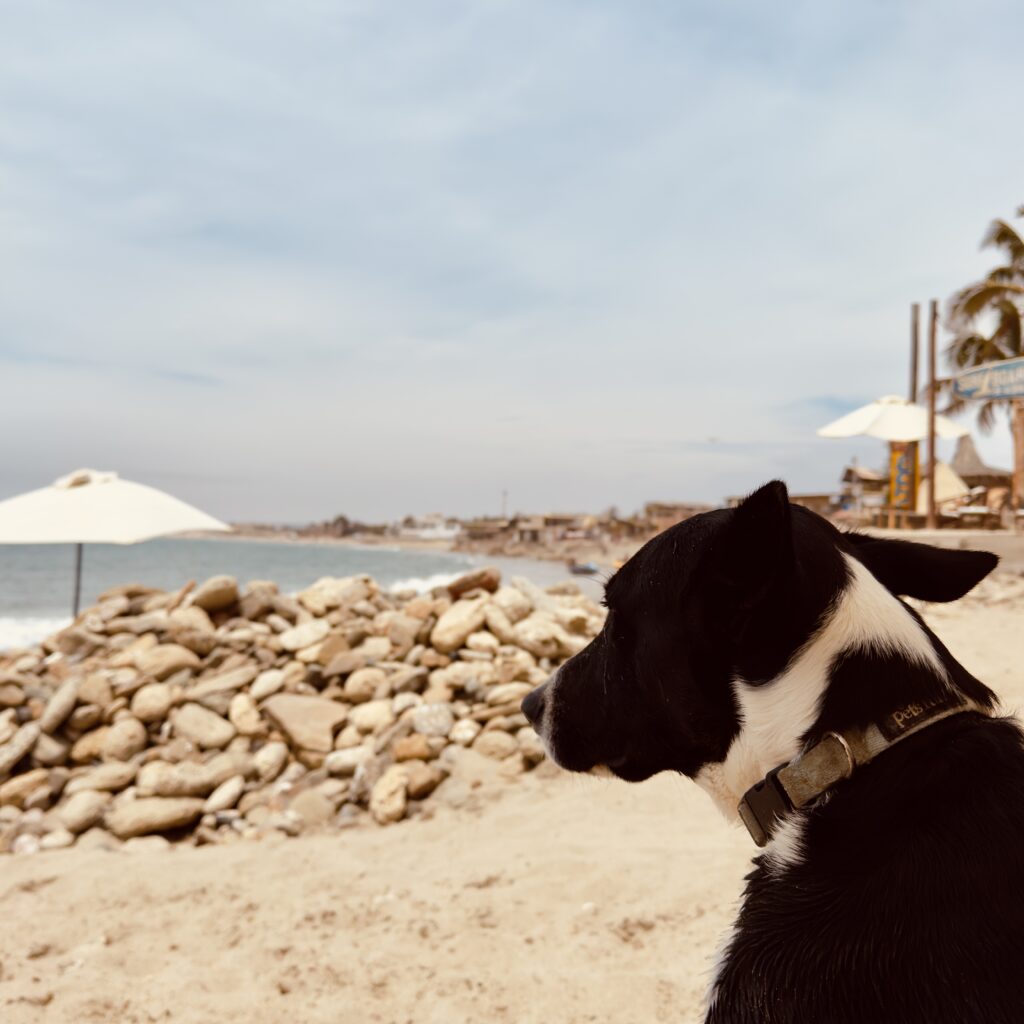 Mancora beach