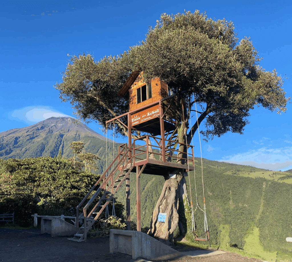 Casa del arbol