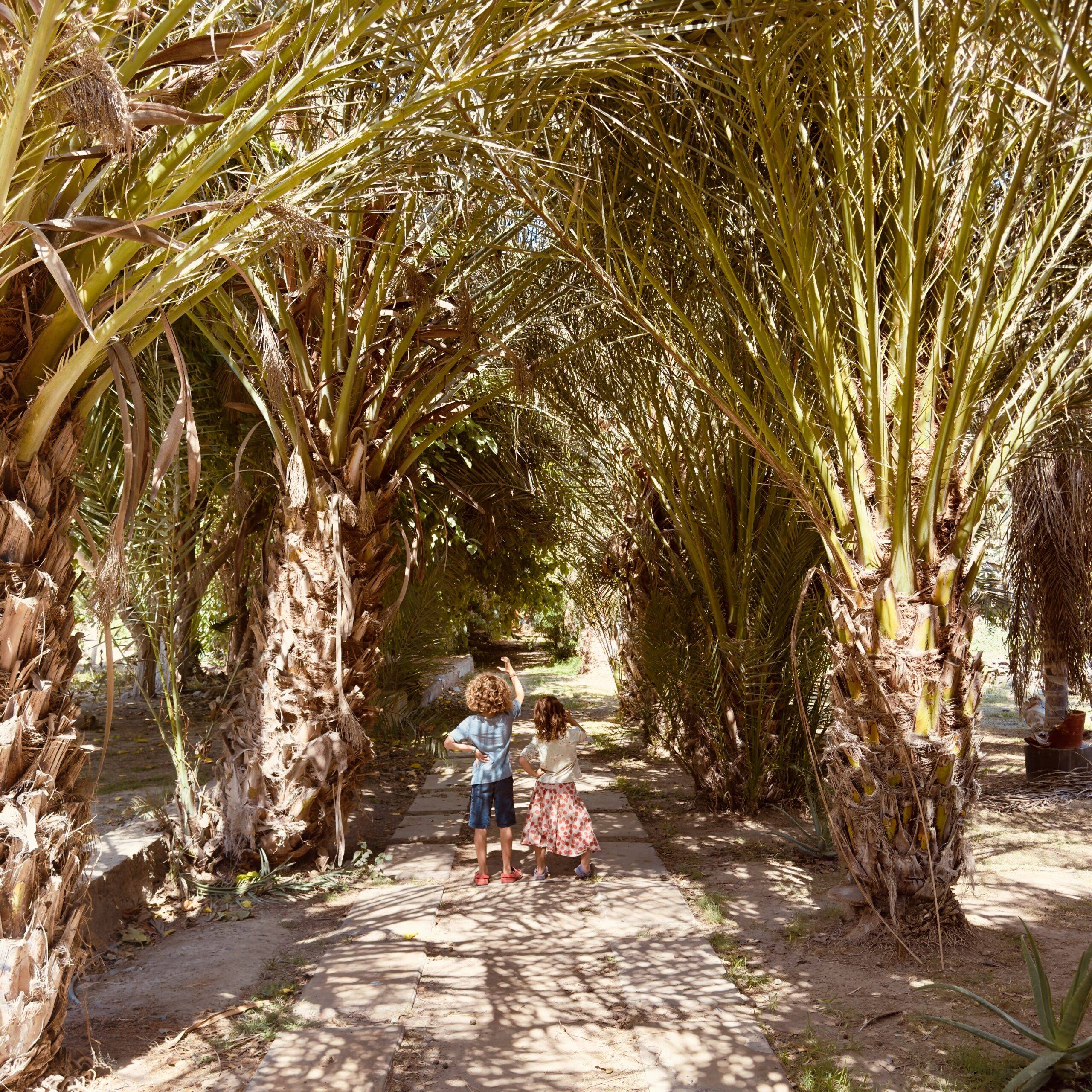 Things to do In Nazca