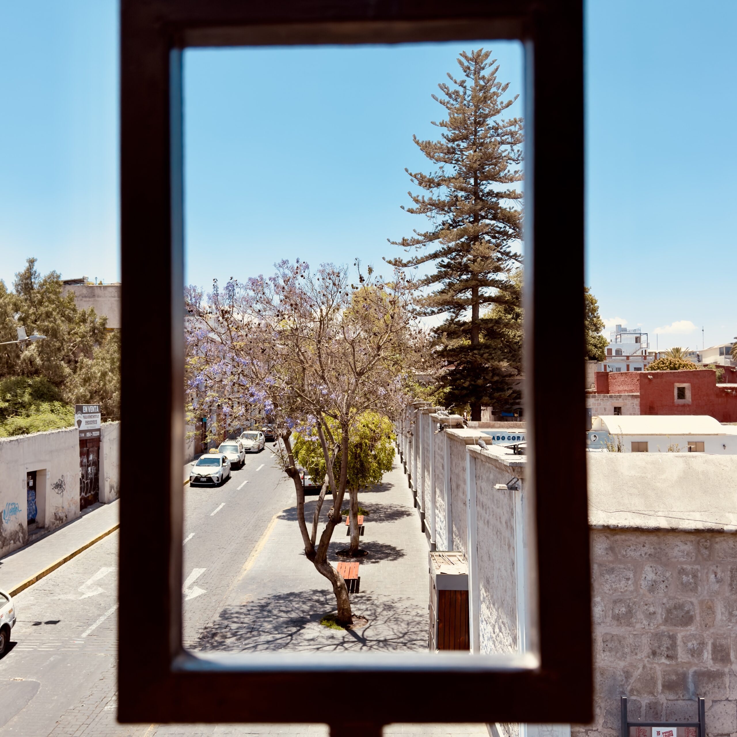 San Lázaro Neighbourhood