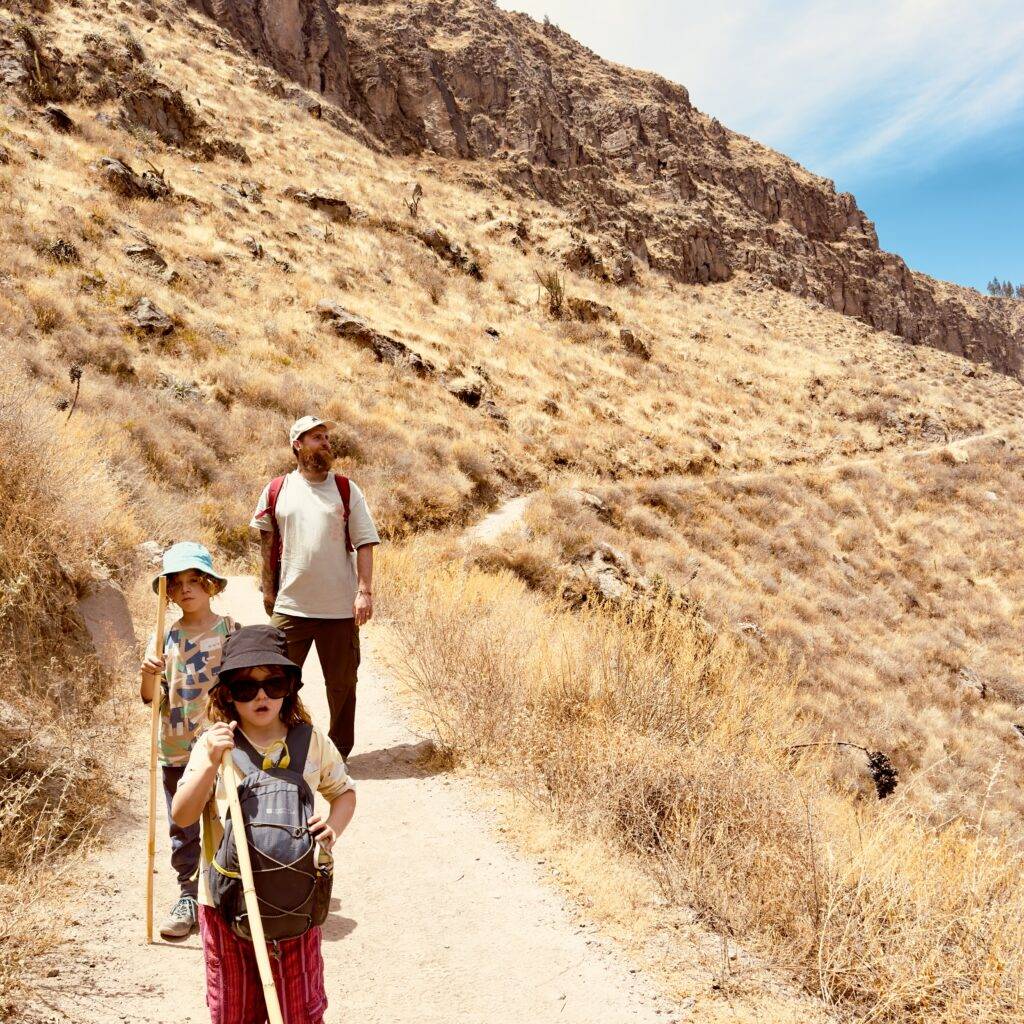 Safety wing travel insurance for families