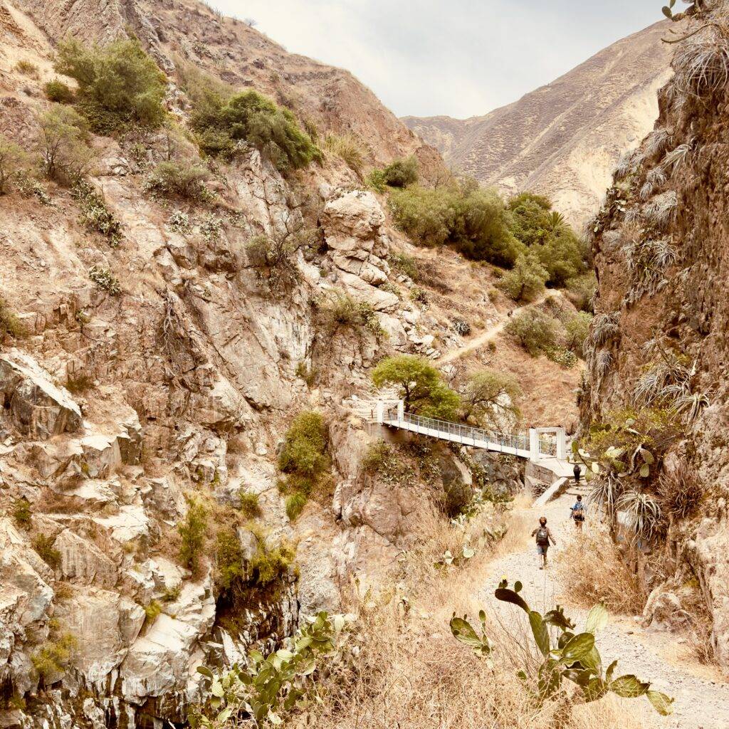 Family travel insurance