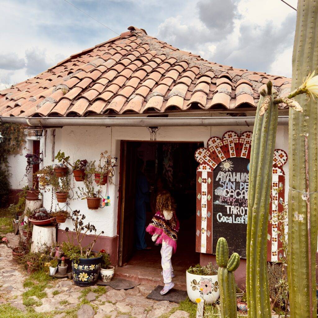 Museum show bolleto turistico