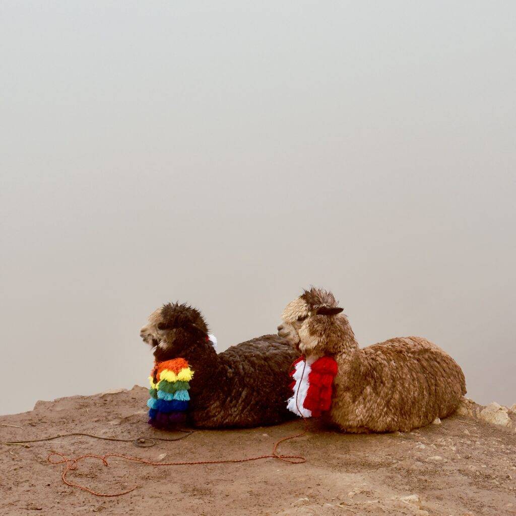 Rainbow Mountain Cusco