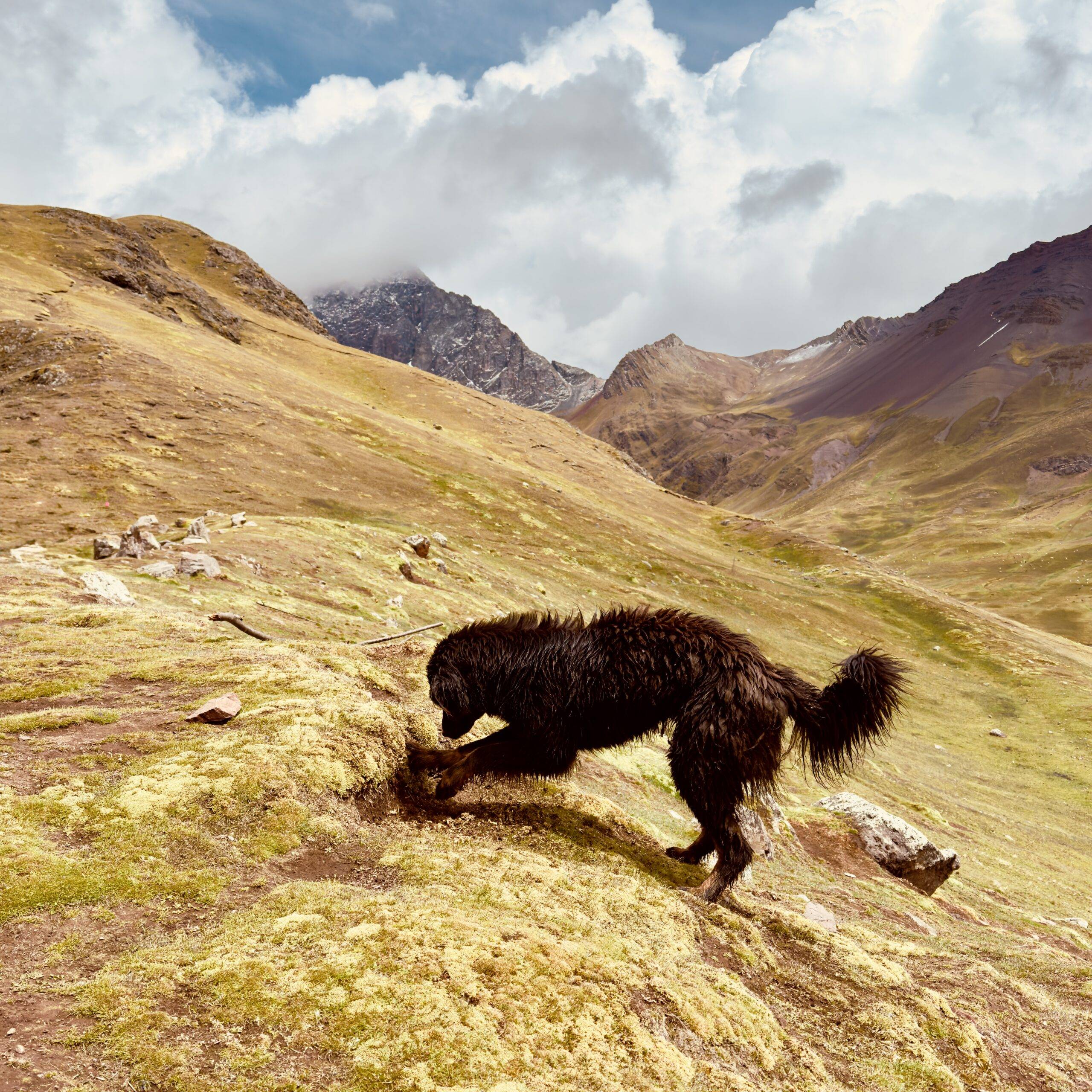 Rainbow Mountain Cusco