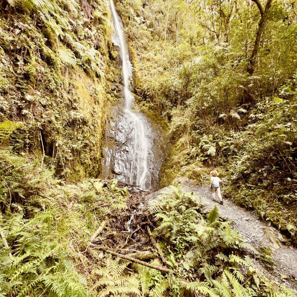 Amazon rainforest peru with kids