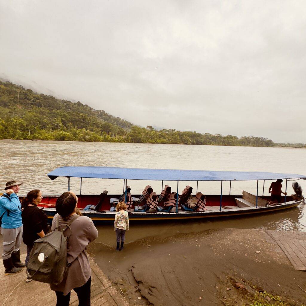 boar tour amazon manu