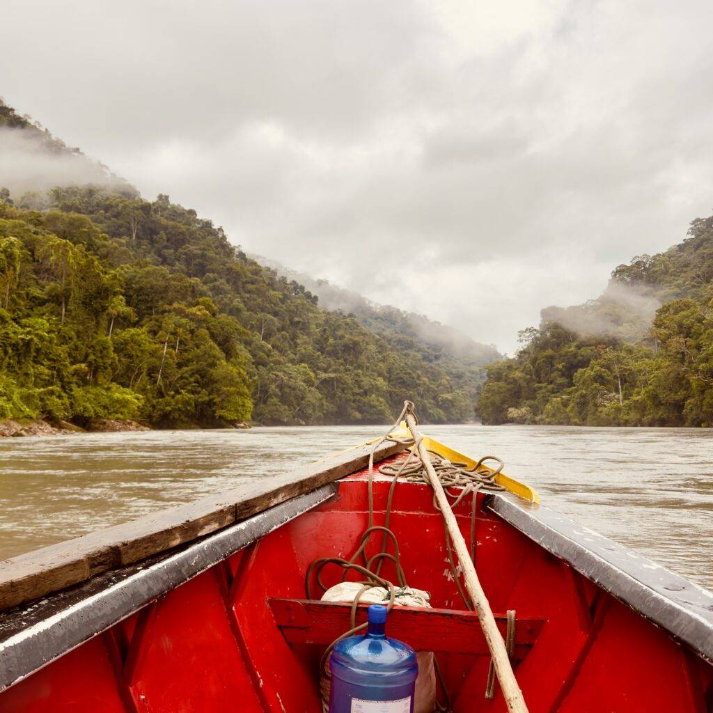 boat tour amazon rainforest
