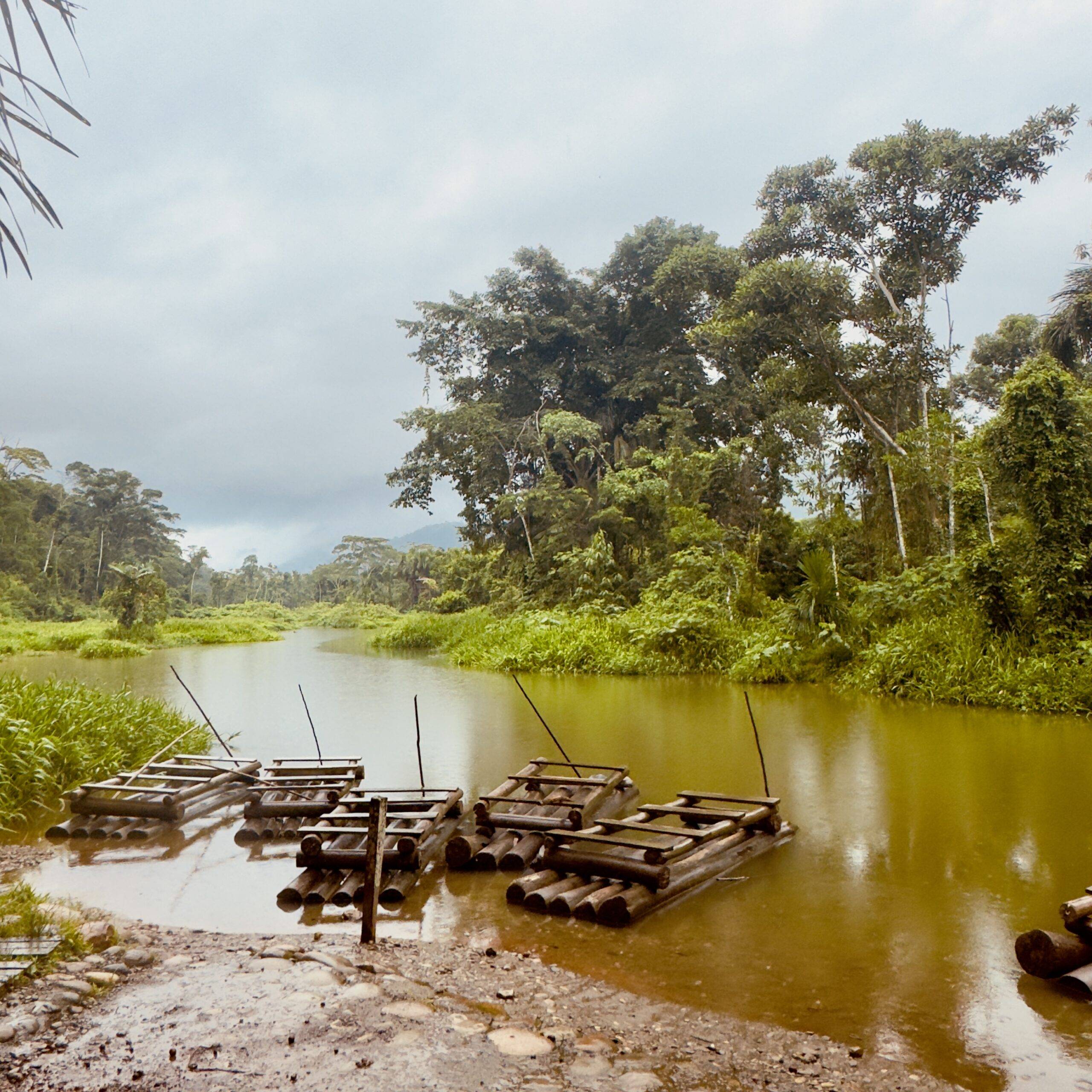 Is the Amazon Worth It for Families?