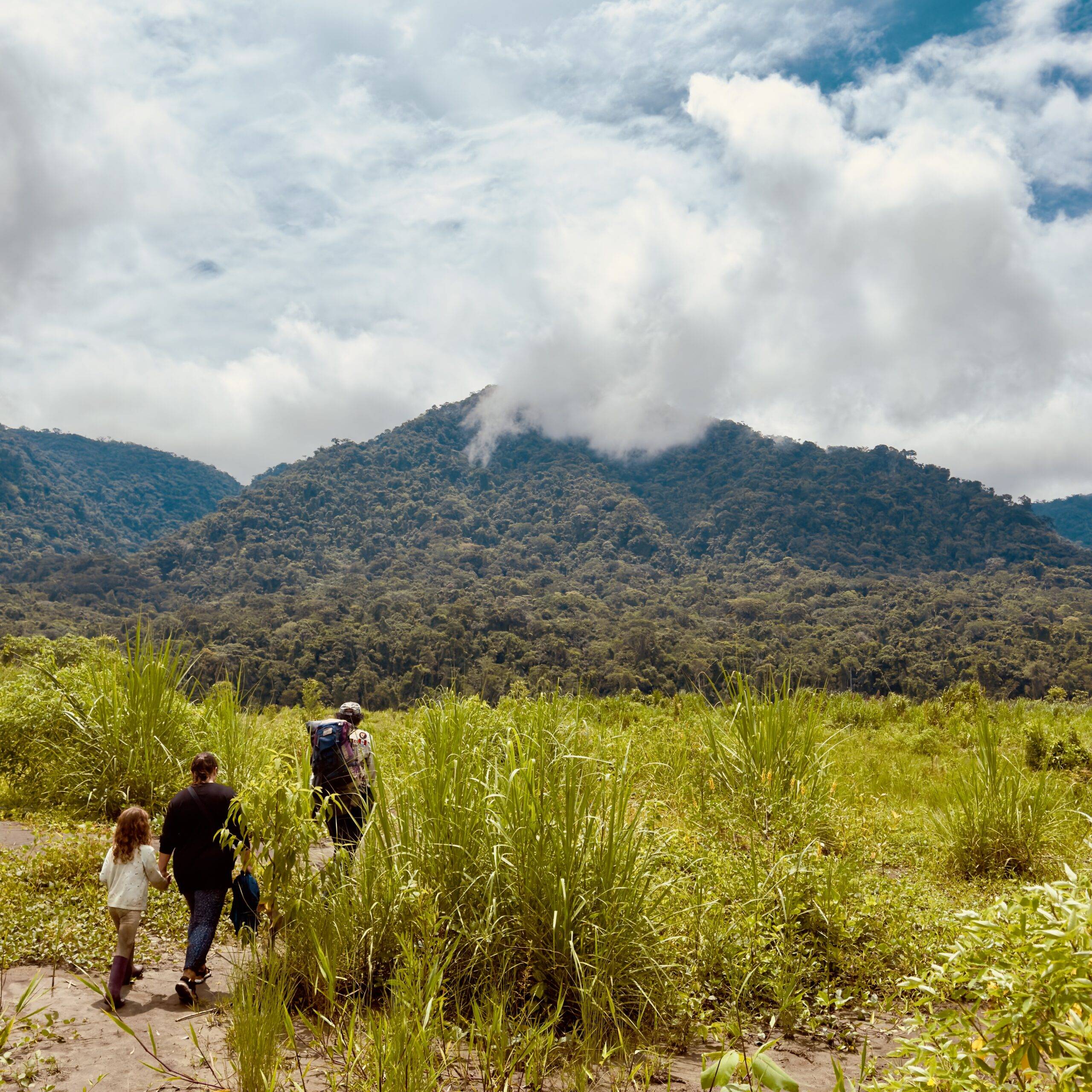 Amazon rainforest peru with kids
