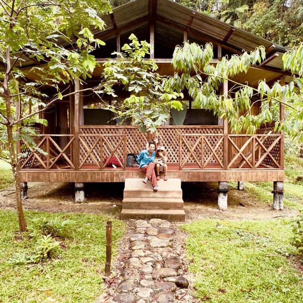 Guadalope lodge amazon rainforest