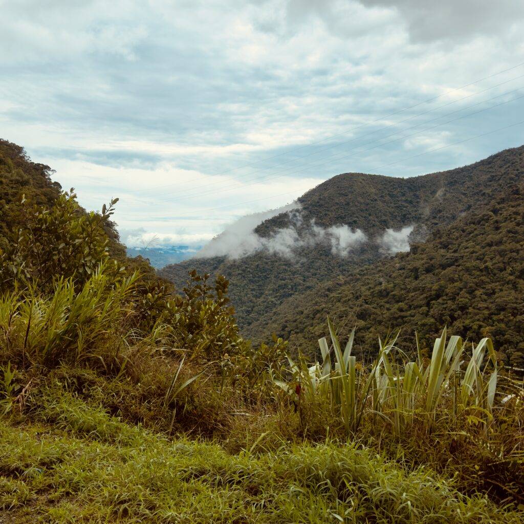4 day tour amazon rain forest