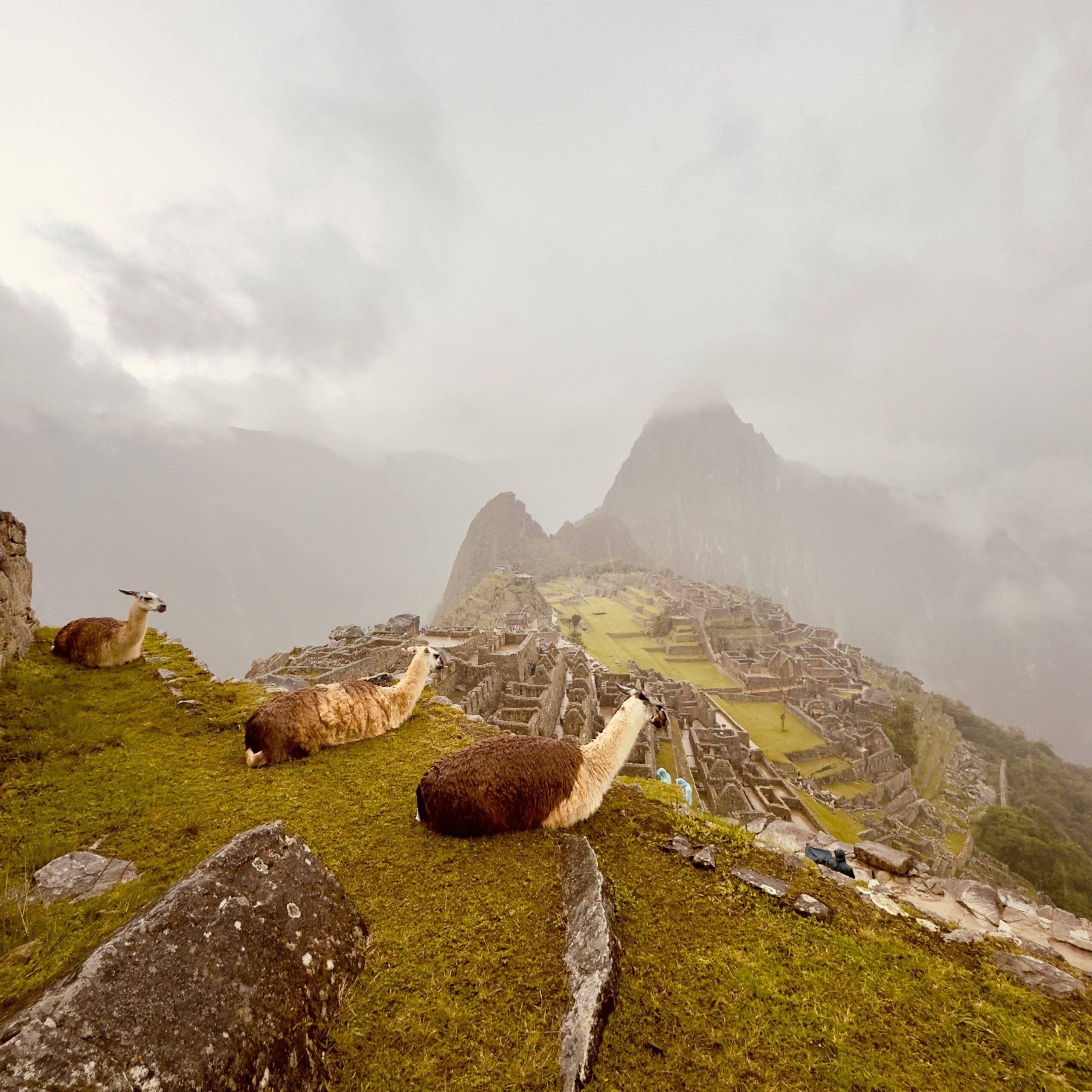 How Long Does a Machu Picchu Visit Take With Kids?​