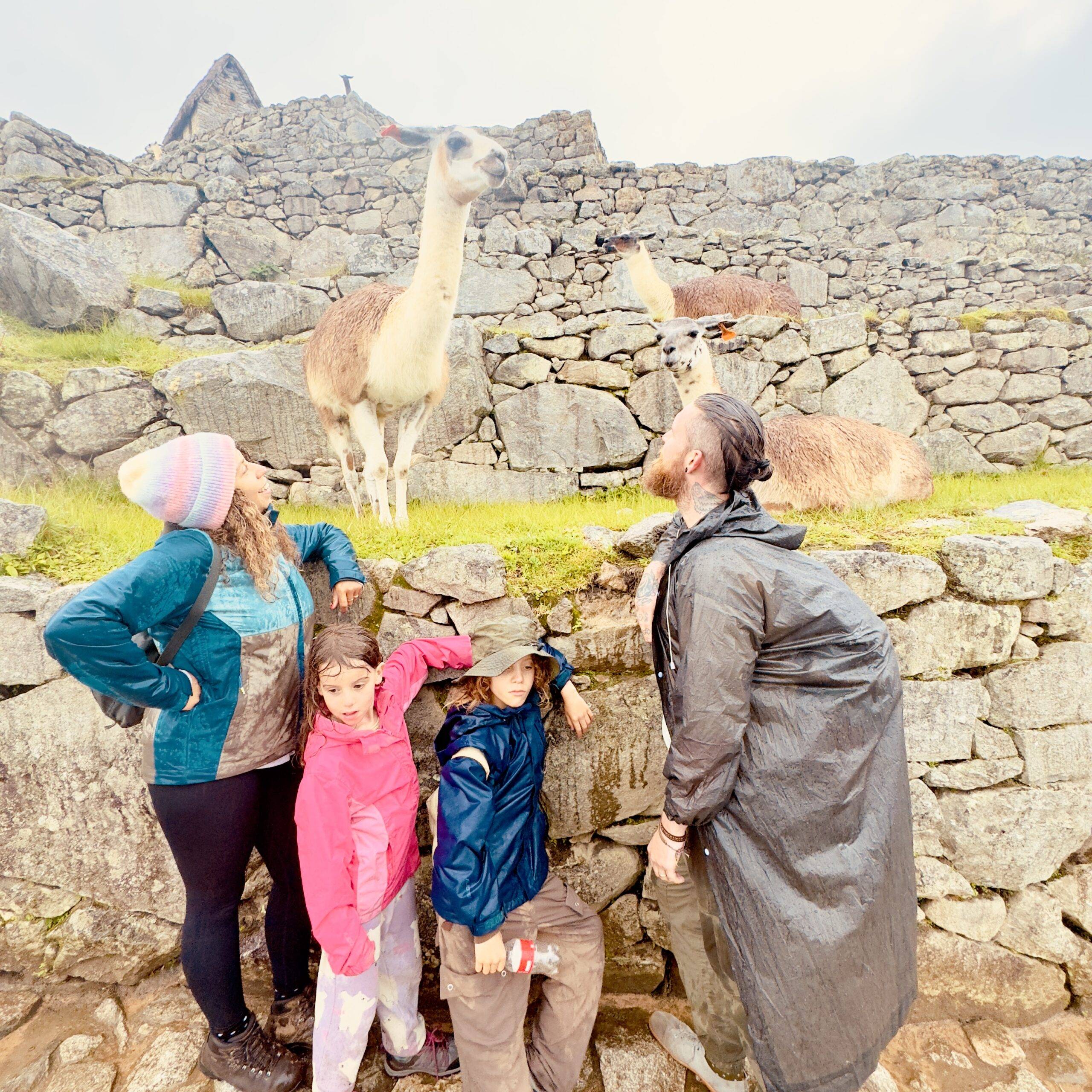 Do You Need a Guide at Machu Picchu With Kids?​