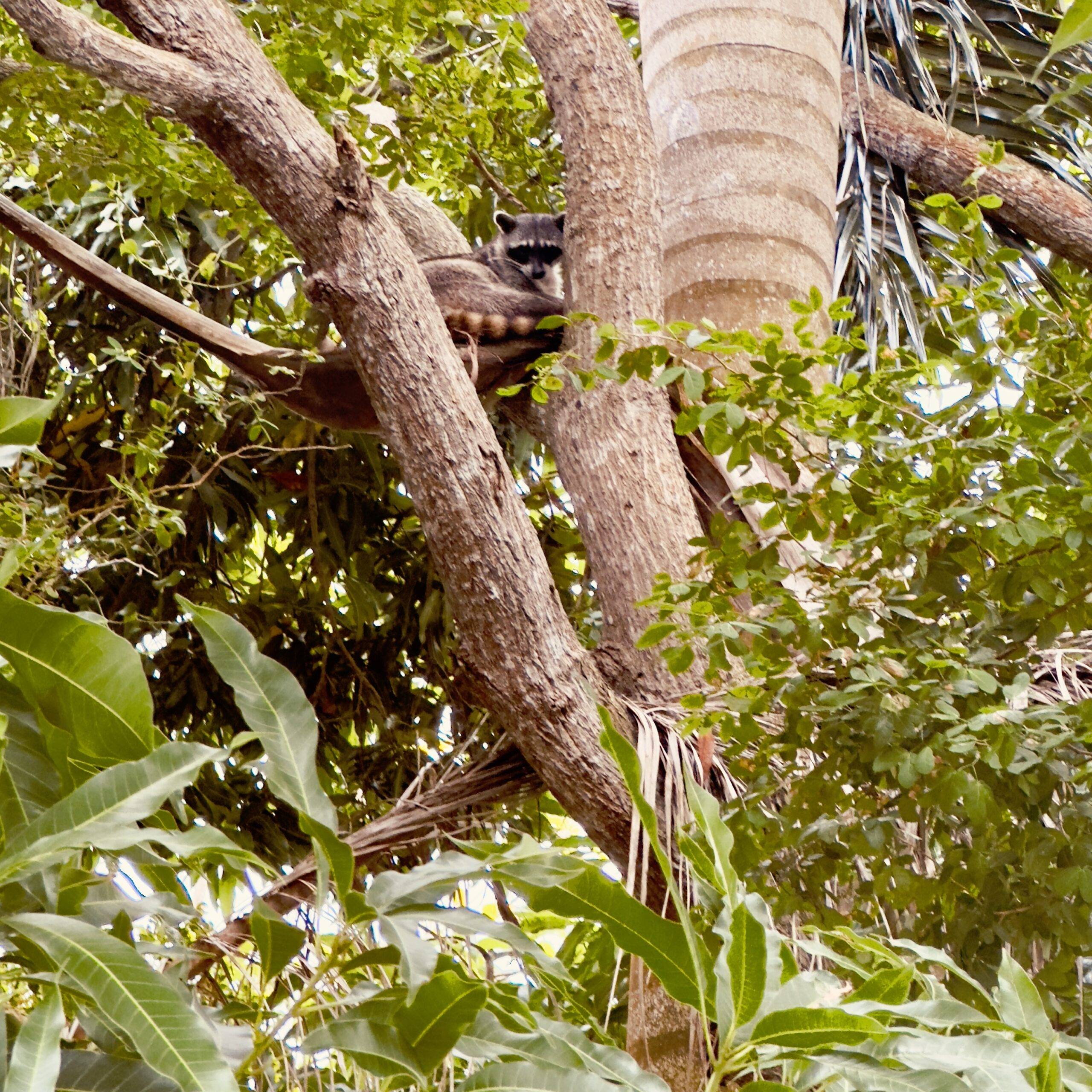 Panama City With Kids