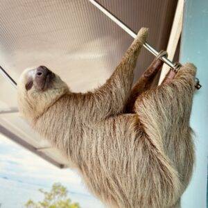 Panama City With Kids