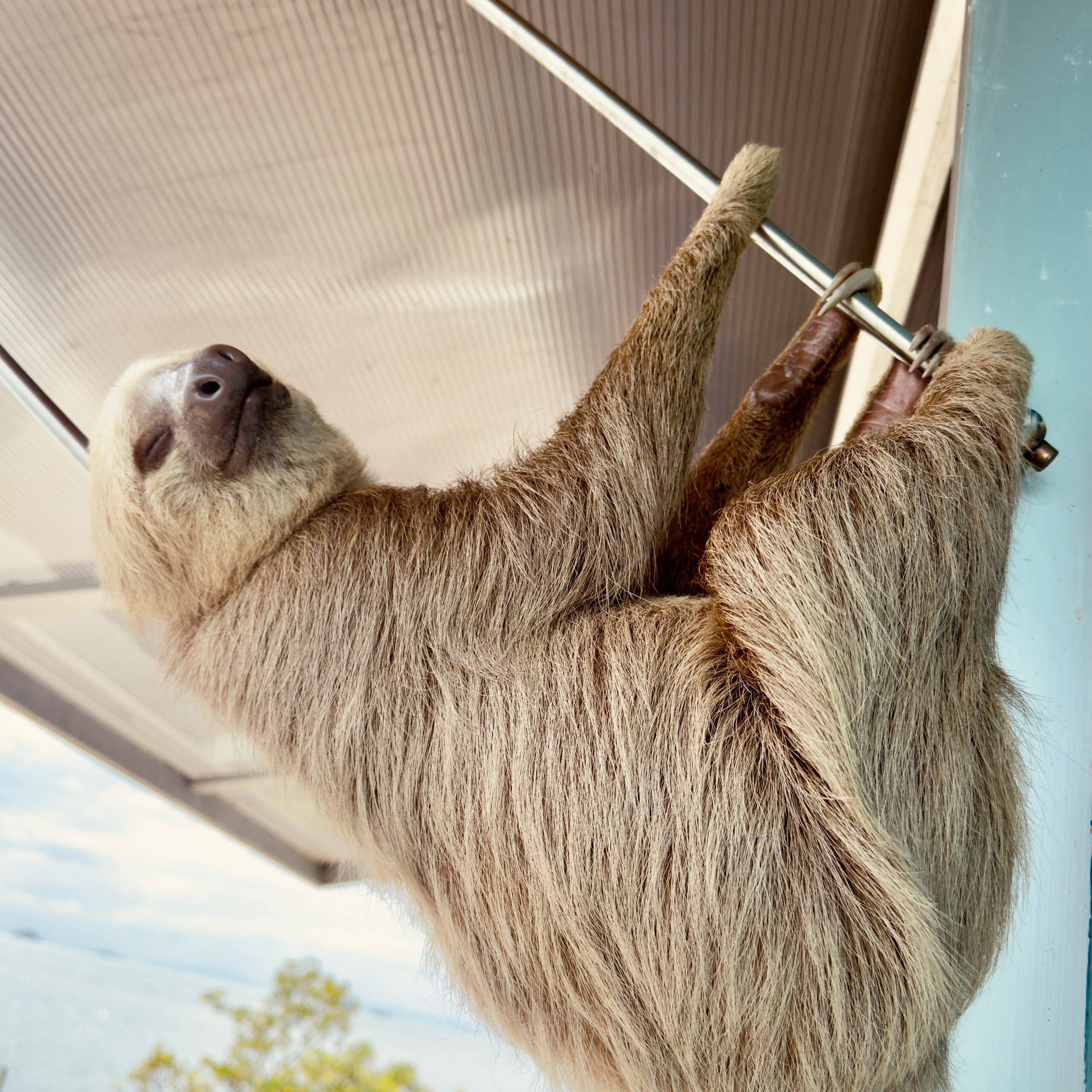 Panama City With Kids