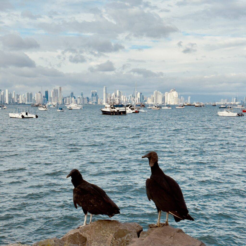 Panama city with kids