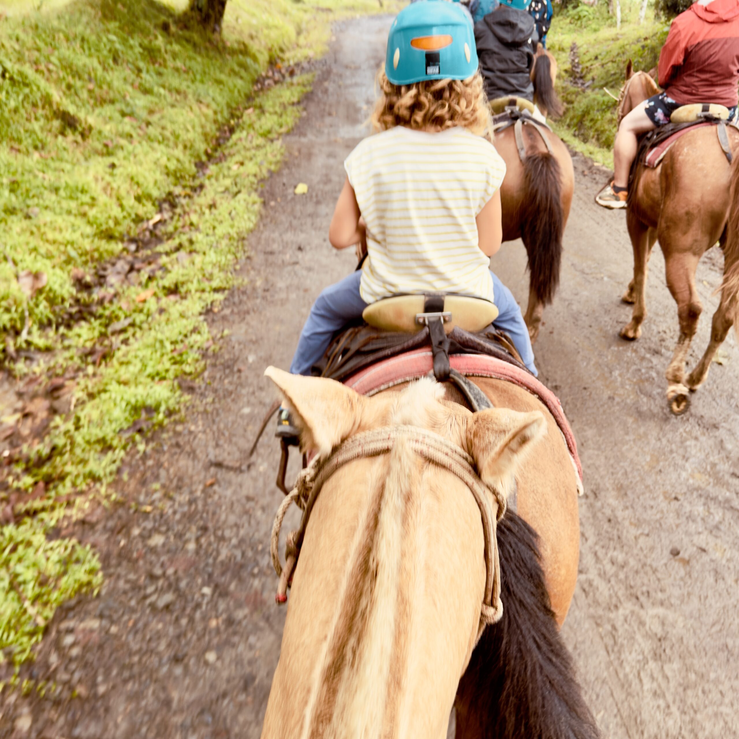 how to avoid lies at attractions