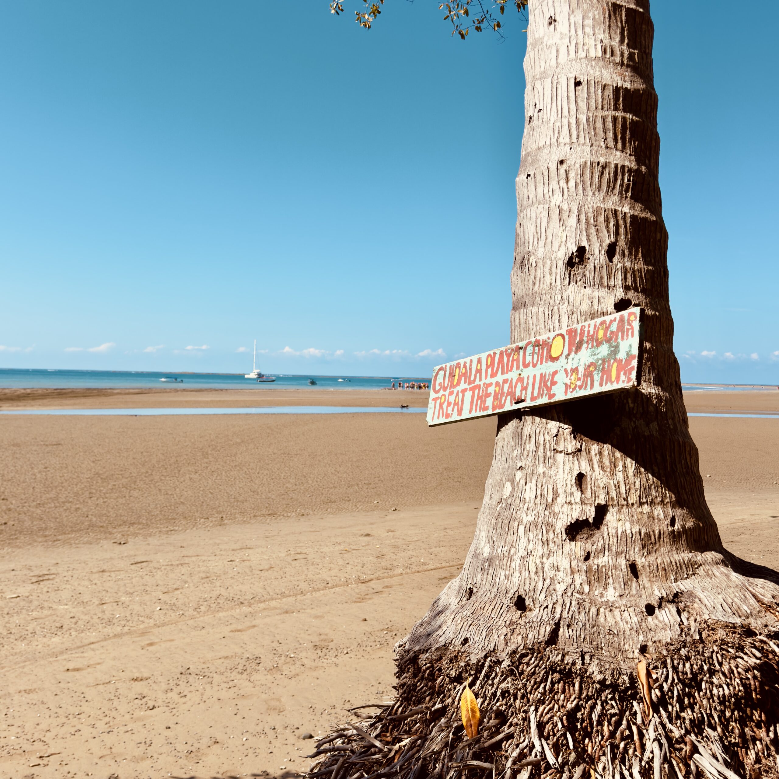 Latin Americ aWith Kids