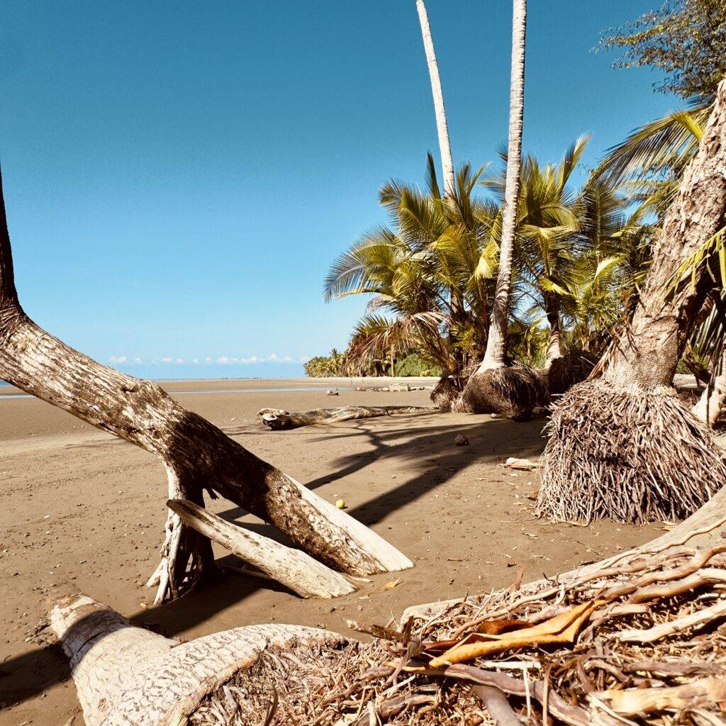 Best town in Costa rica
