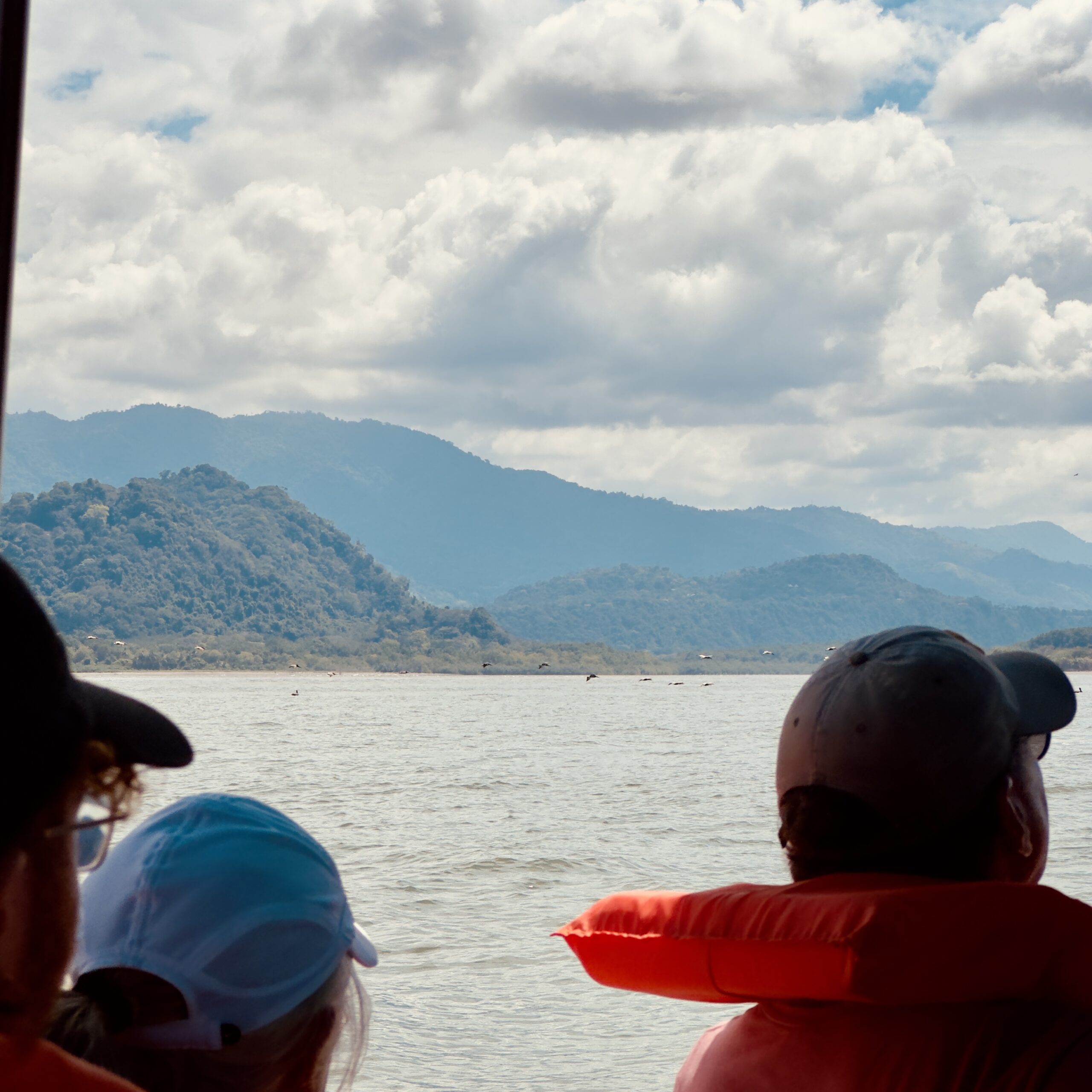 what is the cheapest day to fly