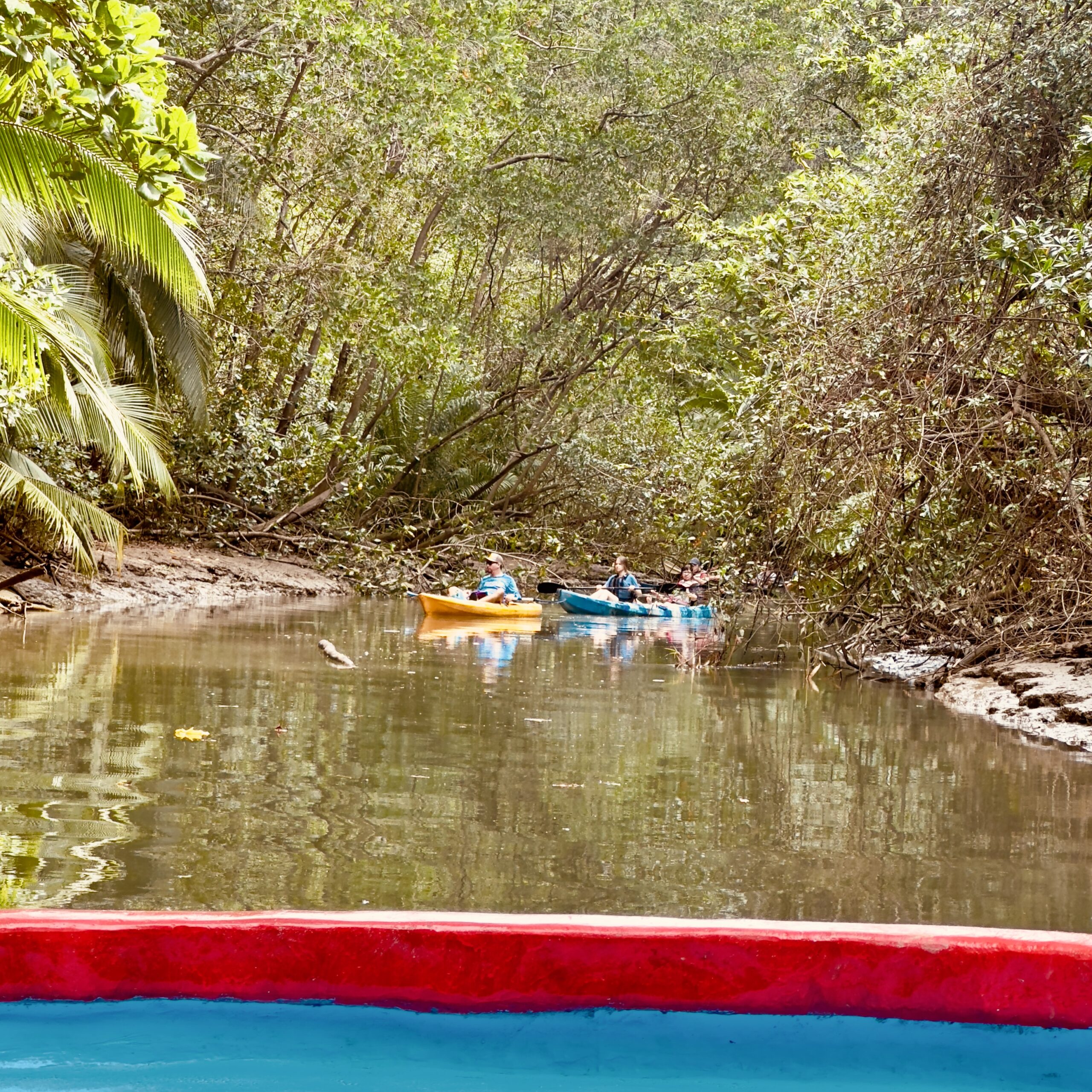 boat tour through magroves