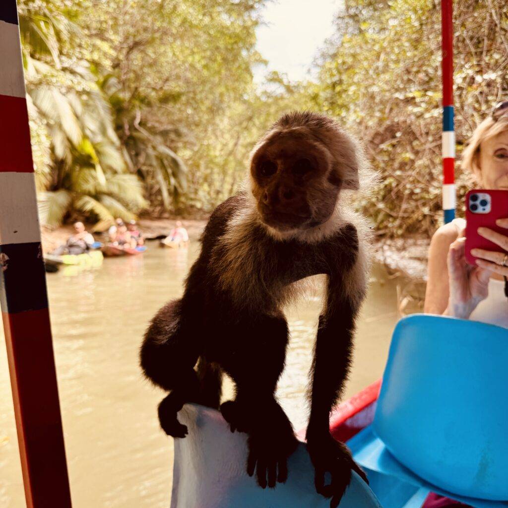 What Happens If Your Kid Gets Sick in Costa Rica?