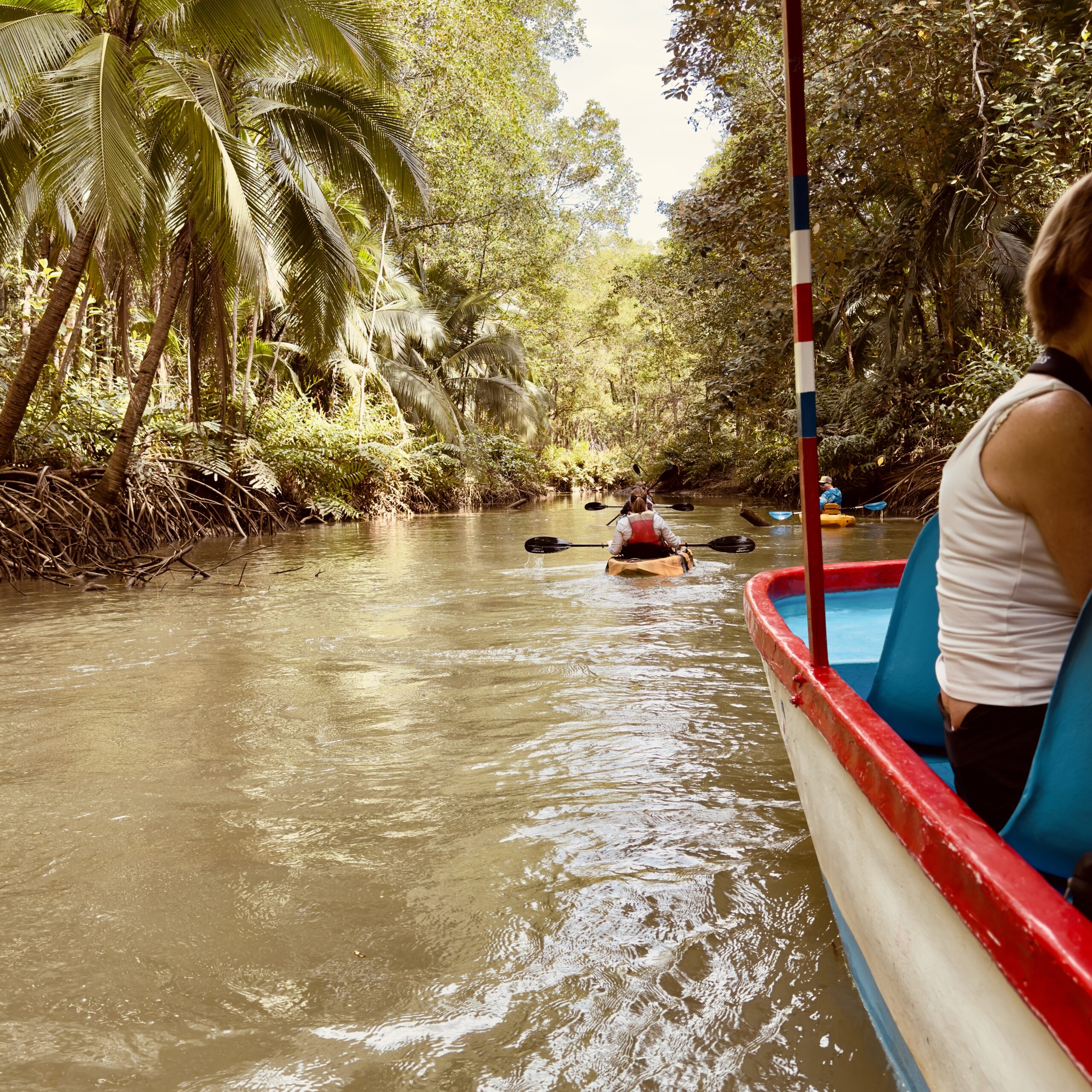 how to avoid lies at attractions