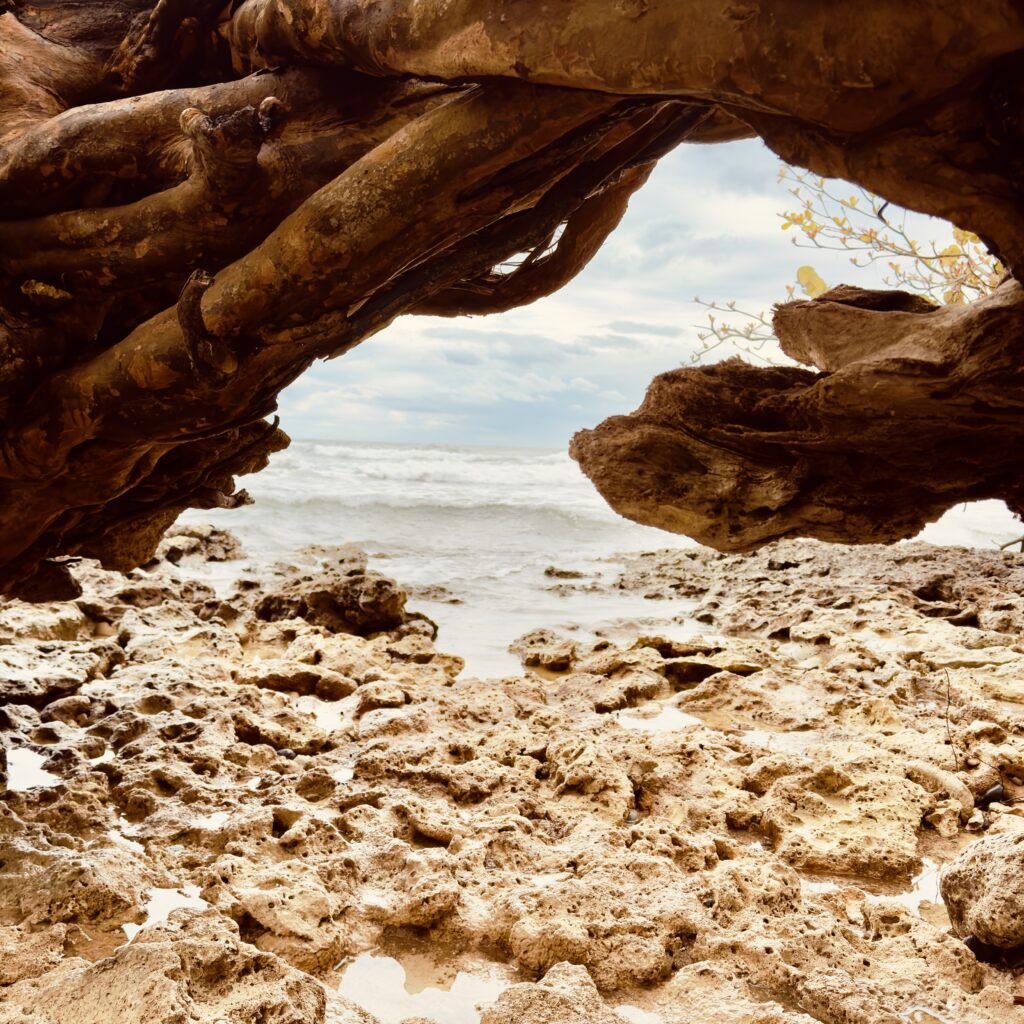 Walk in Puerto Vallarta