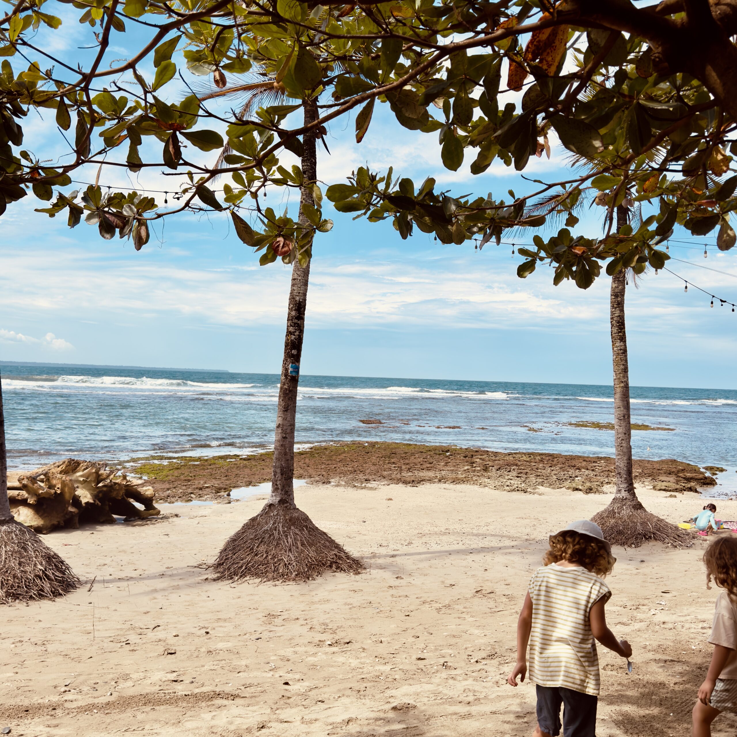 how to avoid roaming charges