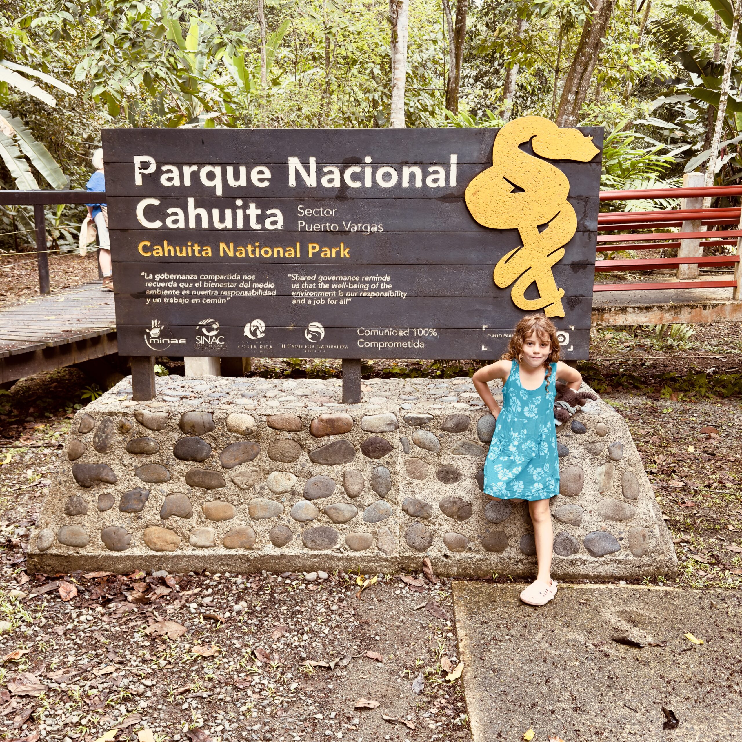 what is the cheapest day to fly