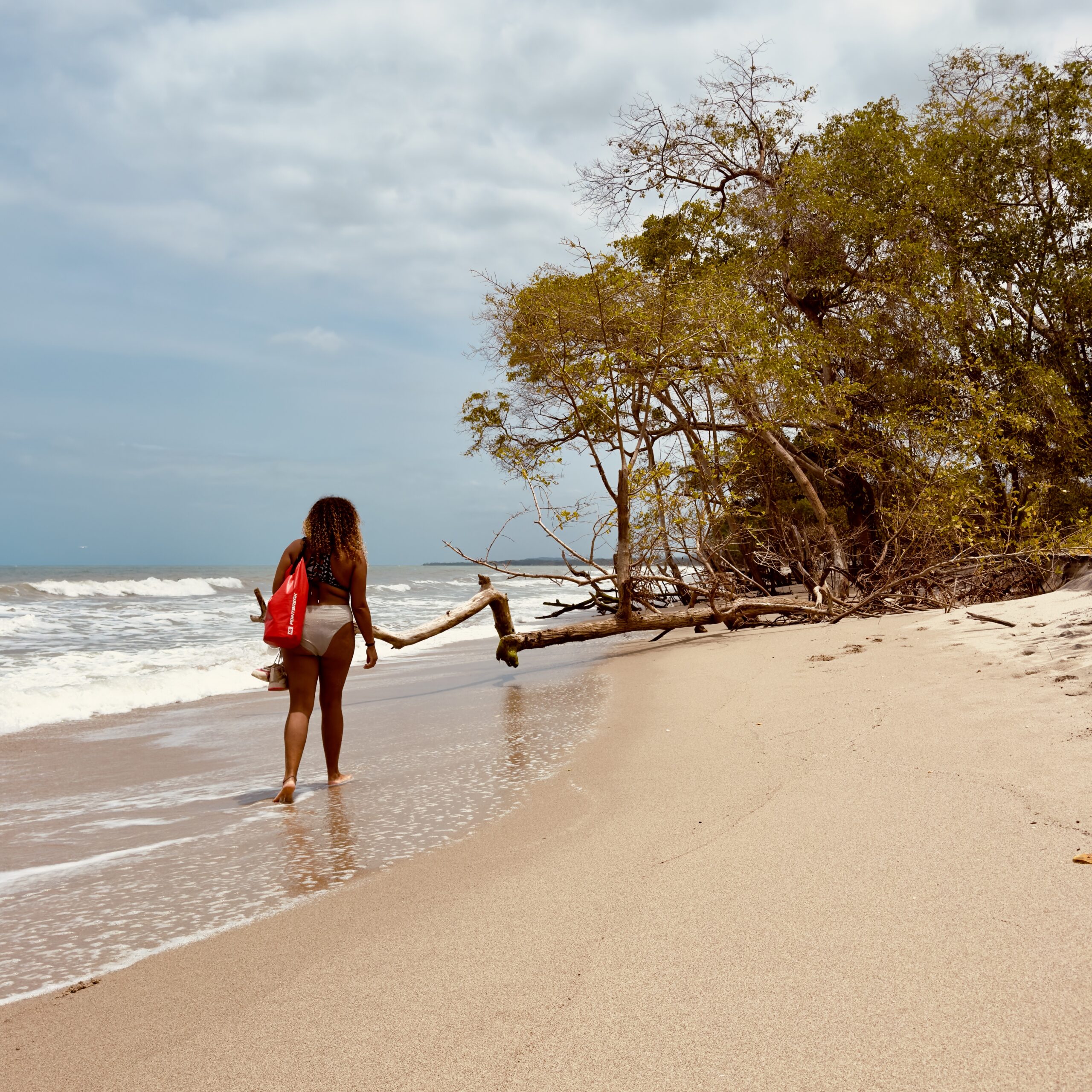 how to get cheapest car rental