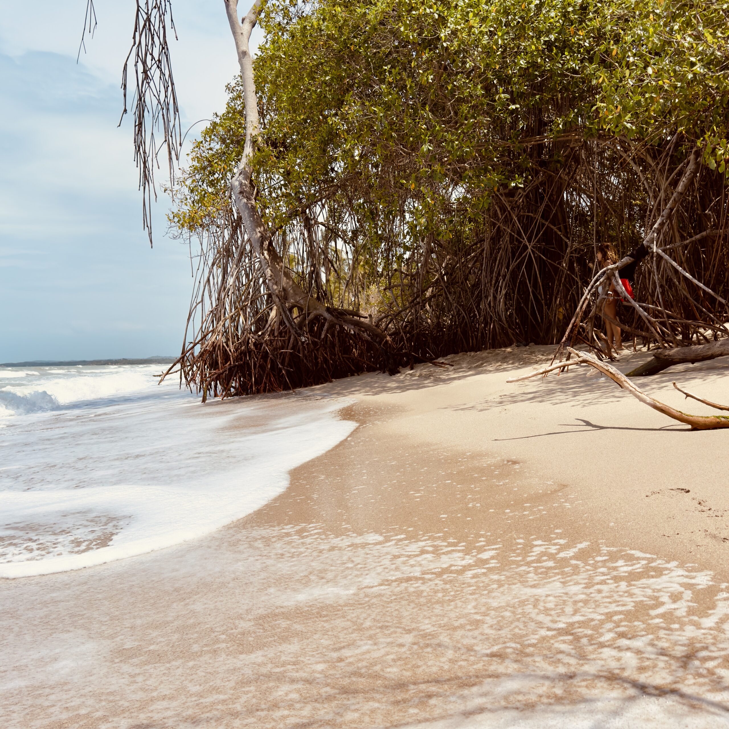 How to find mistake fares