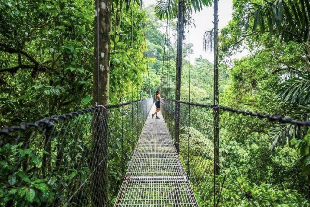 Mistico Arenal Hanging Bridges