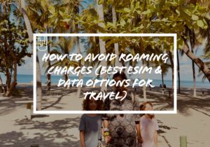 How to Avoid Roaming Charges (Best eSIM & Data Options for Travel)
