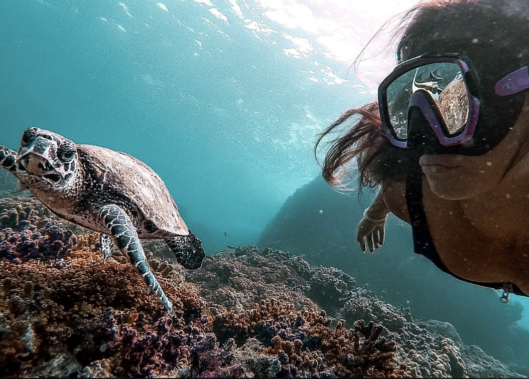 Go Snorkeling at Caño Island