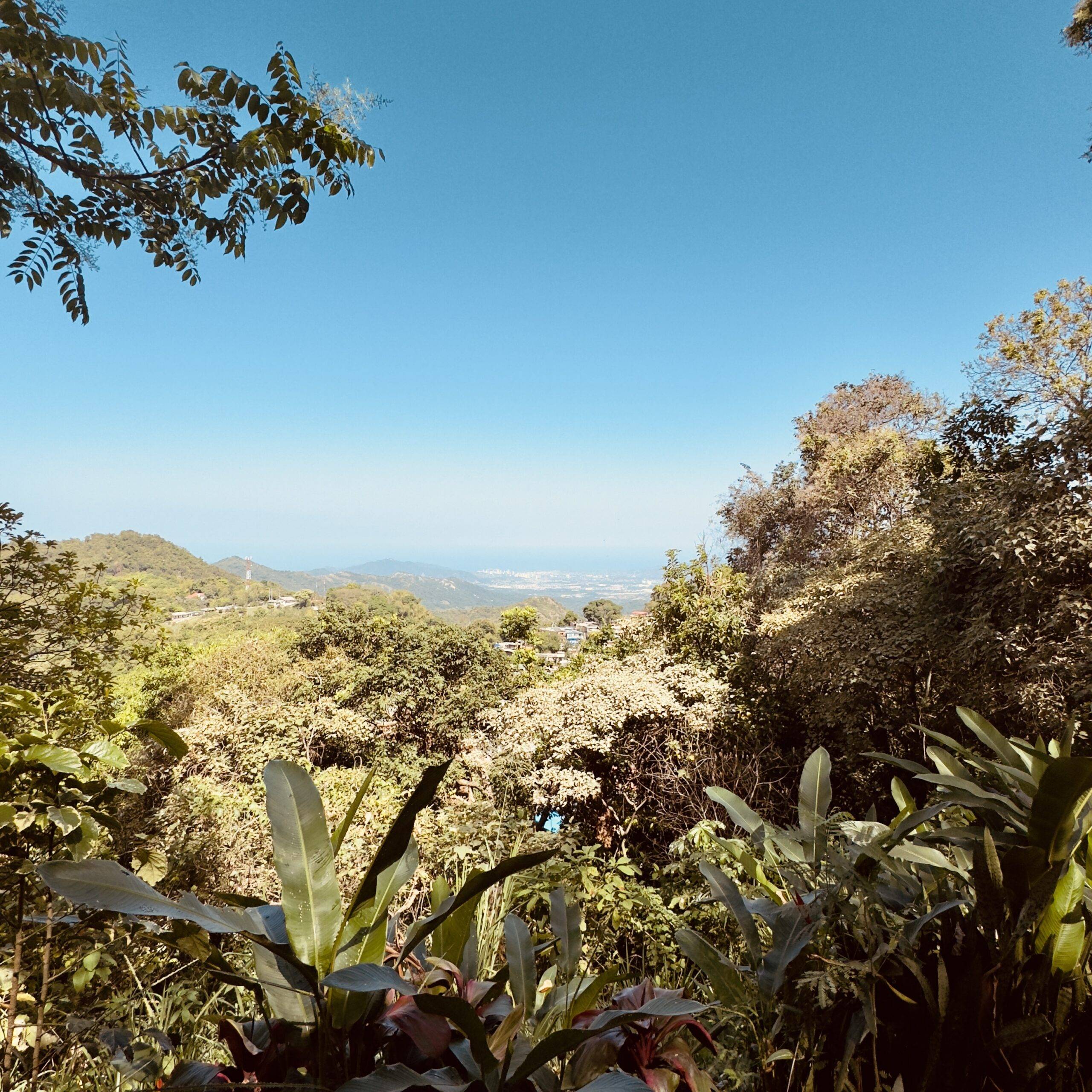 view from casa loma