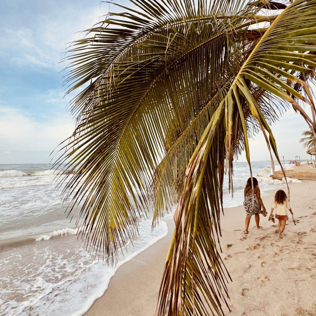 Palomino beach